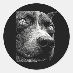 Hypnotische Pitbull Rare Ogen Weirdcore Griezelig Ronde Sticker