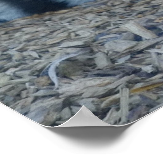 Hypnotische Tijger Poster (Hoek)