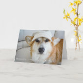 Hypnotiserende Corgi verjaardagskaart Kaart (Gele Bloem)