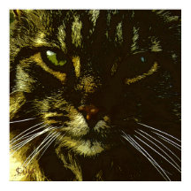 Hypnotisering van Cat Digital Art Hypnosis