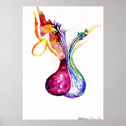 Hypofysestructuur Poster (Voorkant)