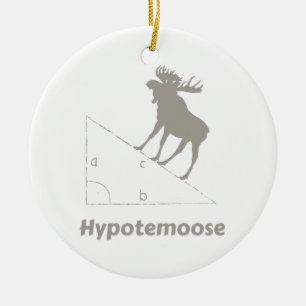 Hypotemoose Wiskunde Geek Keramisch Ornament