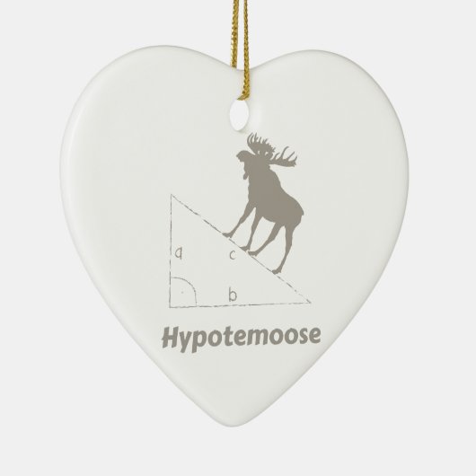 Hypotemoose Wiskunde Geek Keramisch Ornament (Rechts)