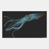 Hypothetische Sticker van pijlinktvissen (Voorkant)