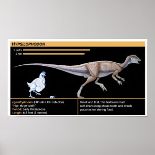Hypsilophodon - Biologie Jurassic Dinosaur Poster