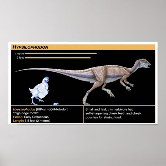 Hypsilophodon - Biology Jurassic Dinosaur Poster (Voorkant)