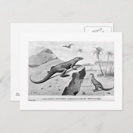 Hypsilophodon briefkaart (Voorkant / Achterkant)