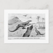 Hypsilophodon briefkaart (Voorkant)