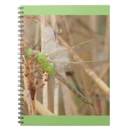 I1 Groene Dragonfly Notitieboek