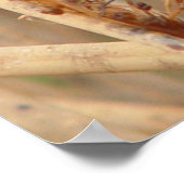 I1 Groene Dragonfly Poster (Hoek)