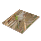 I1 Groene Dragonfly Tegeltje (Zijkant)