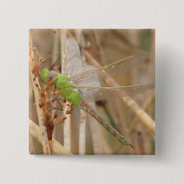 I1 Groene Dragonfly Vierkante Button 5,1 Cm