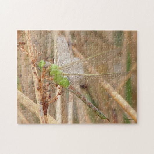 I1 Groene Libel Legpuzzel (Horizontaal)