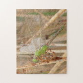 I1 Groene Libel Legpuzzel (Verticaal)