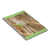 I1 Groene Libel Notitieboek (Rechterzijde)