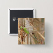 I1 Groene Libel Vierkante Button 5,1 Cm (Voorkant /achterkant)