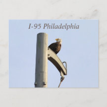 I-95 Philadelphia Bald Eagle Briefkaart
