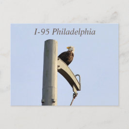 I-95 Philadelphia Bald Eagle Briefkaart