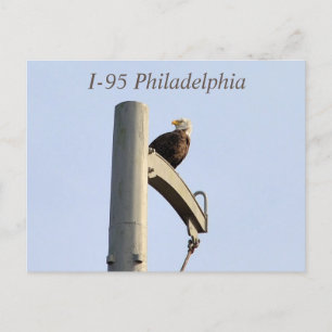 I-95 Philadelphia Bald Eagle Briefkaart