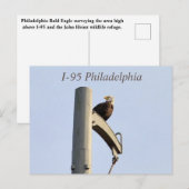 I-95 Philadelphia Bald Eagle Briefkaart (Voorkant / Achterkant)