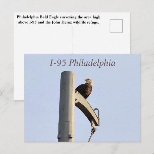 I-95 Philadelphia Bald Eagle Briefkaart (Voorkant / Achterkant)
