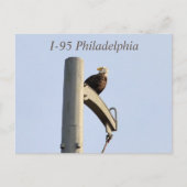 I-95 Philadelphia Bald Eagle Briefkaart (Voorkant)