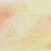 I AM WHOLE Vinyl transparant sticker (Voorkant)