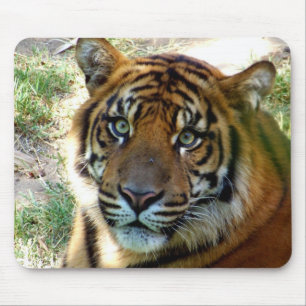 I Believe beroemd gemaakt door Mousepad_Elenne Boo Muismat