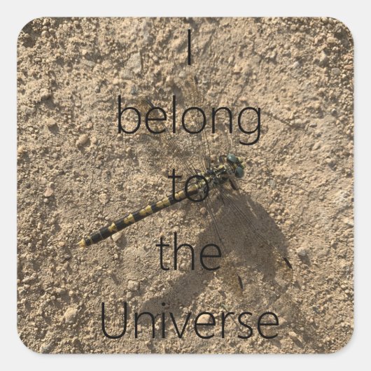 I belong to the Universe Vierkante Sticker (Voorkant)