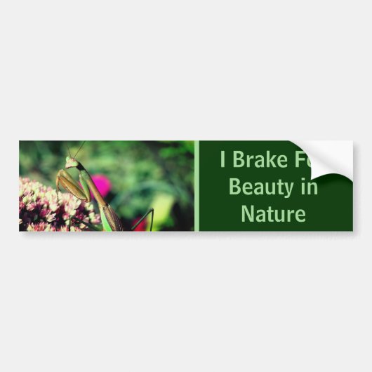 I Brake For Beauty Praying Mantis Nature Bumpersticker (Voorkant)