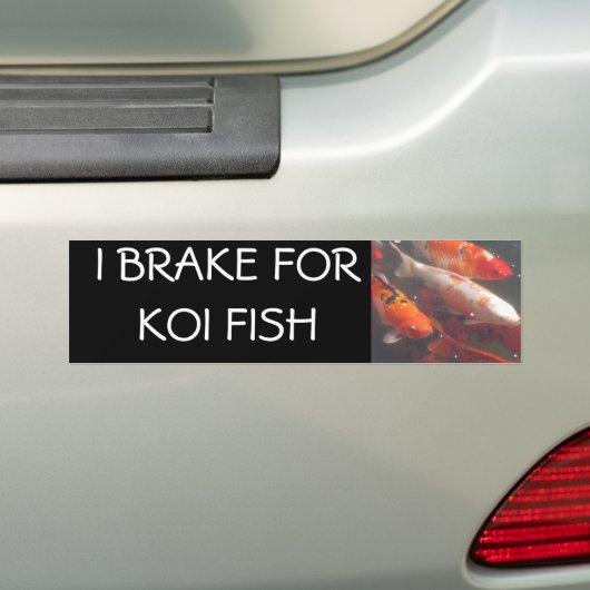 I BRAKE FOR KOI FISH BUMPERSTICKER (Op auto)