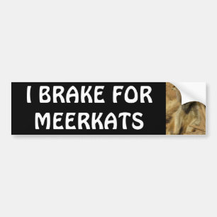 I BRAKE FOR MEERKATS BUMPERSTICKER