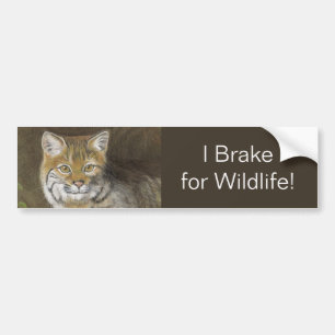 I Brake for Wildlife Bobcat Bumpersticker