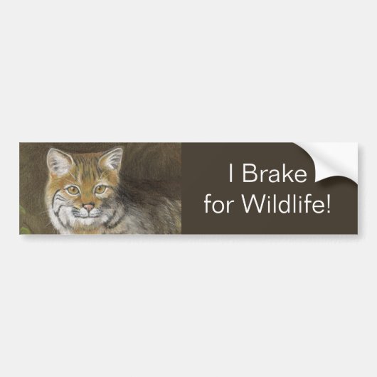 I Brake for Wildlife Bobcat Bumpersticker (Voorkant)