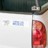I Brake voor Wildlife Grey Koala Beer Australië Bumpersticker (Op Truck)