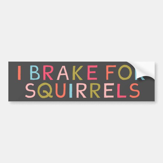 I BREAK FOR SQUIRRELS BUMPERSTICKER (Voorkant)