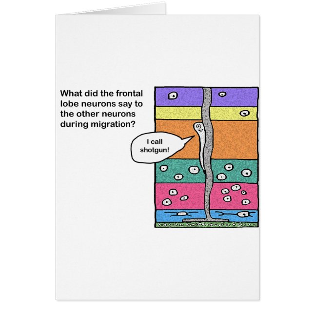 i_call_shotgun (Voorkant)