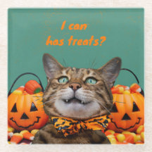 I Can heeft traktaties Cat Glass Onderzetter