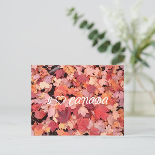 I ❤ CANADA BRIEFKAART (Staand voorkant)