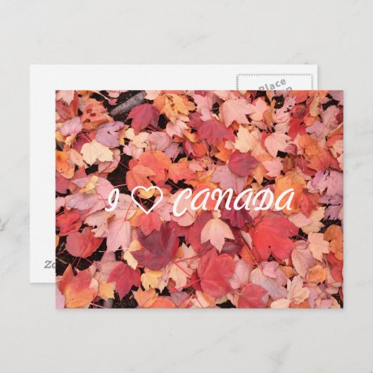 I ❤ CANADA BRIEFKAART (Voorkant / Achterkant)