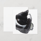 I Can't Even Right Meow (Voorkant / Achterkant)