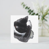 I Can't Even Right Meow (Staand voorkant)