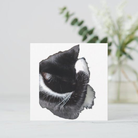 I Can't Even Right Meow (Staand voorkant)