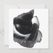 I Can't Even Right Meow (Voorkant)