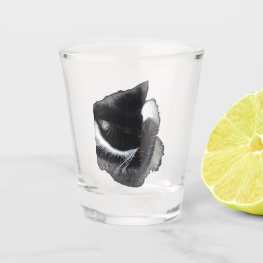 I Can't Even Right Meow Shot Glas (Voorkant)