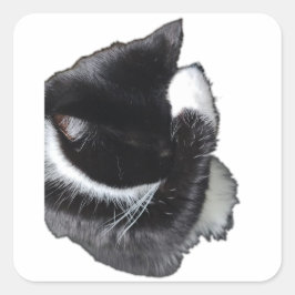 I Can't Even Right Meow Vierkante Sticker