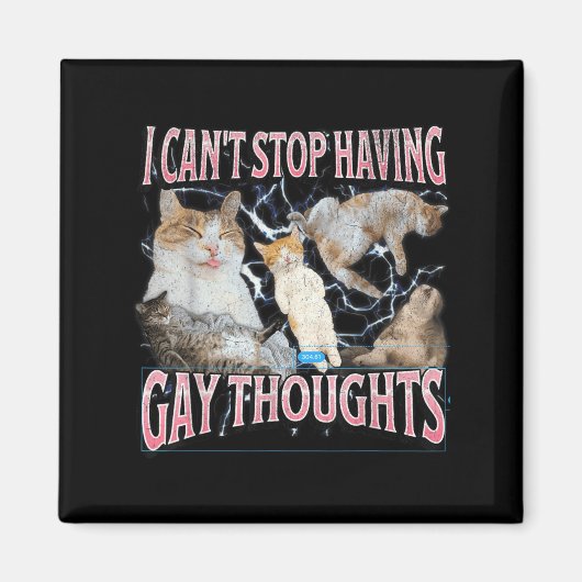I Can't Stop Having Gay Thoughts Funny Cat Meme Bo Magneet (Voorkant)