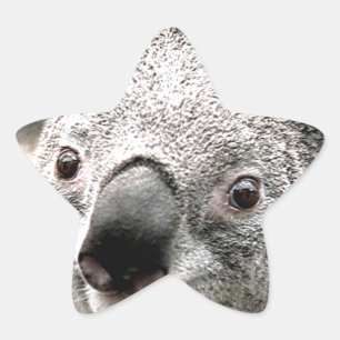I Care_ Ster Sticker