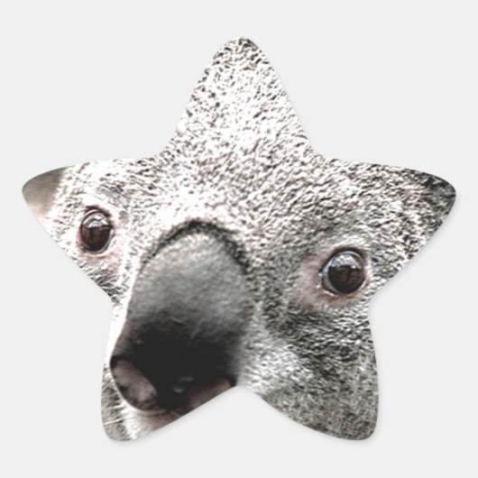 I Care_ Ster Sticker (Voorkant)