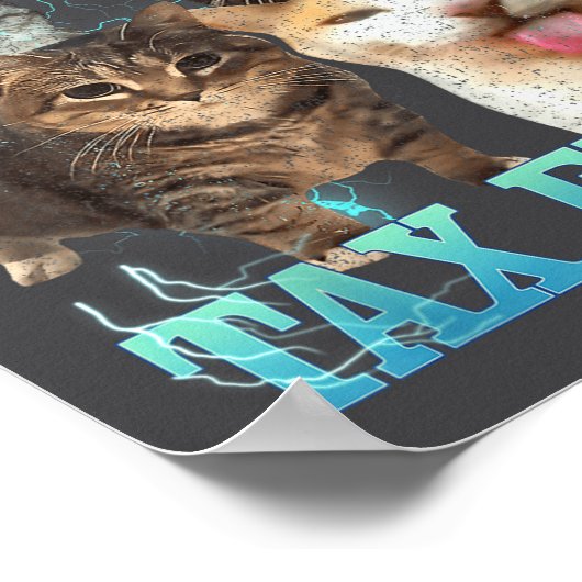 I Commit Tax Fraud Funny Cat Meme Bootleg Graphic Poster (Hoek)